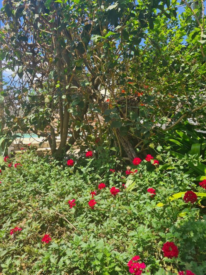 Hostel Iguabella - Rj Іґуаба-Ґранді Екстер'єр фото